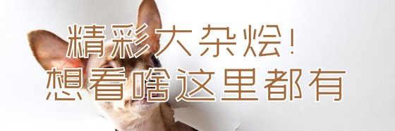 精彩大杂烩！想看啥这里都有